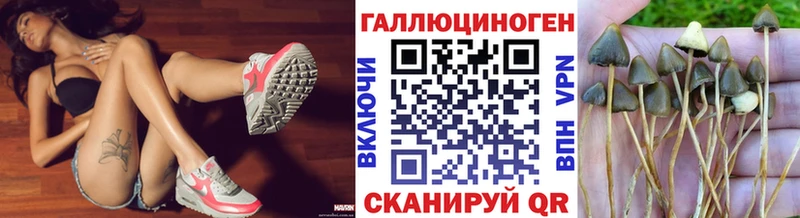 Галлюциногенные грибы Psilocybe  Полтавская 